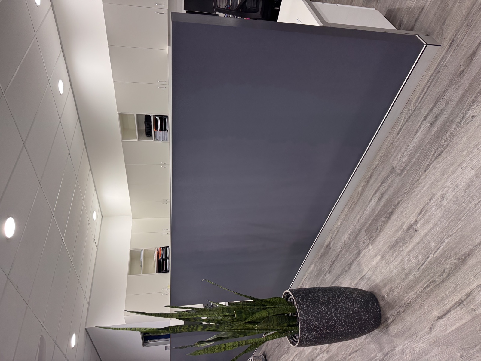 Commercial painting project by Wilson Precision Painting