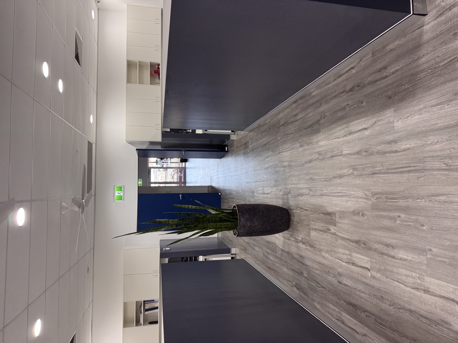 Commercial painting project by Wilson Precision Painting