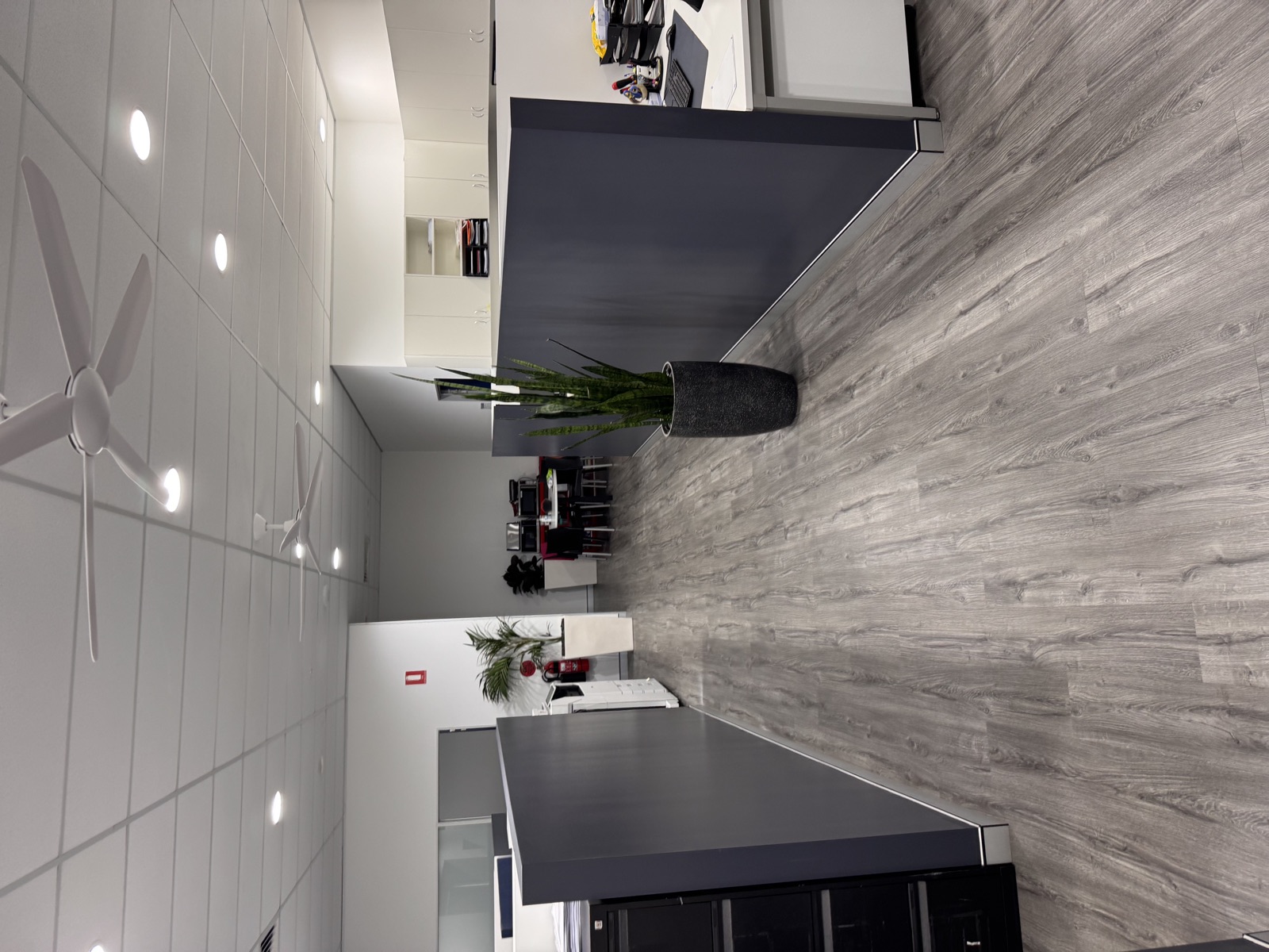 Commercial painting project by Wilson Precision Painting